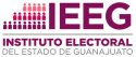 logo-ieeg